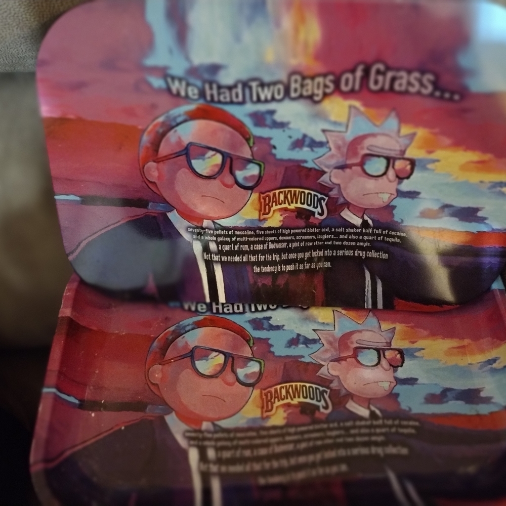 Rick and Morty tray with magnet cover
